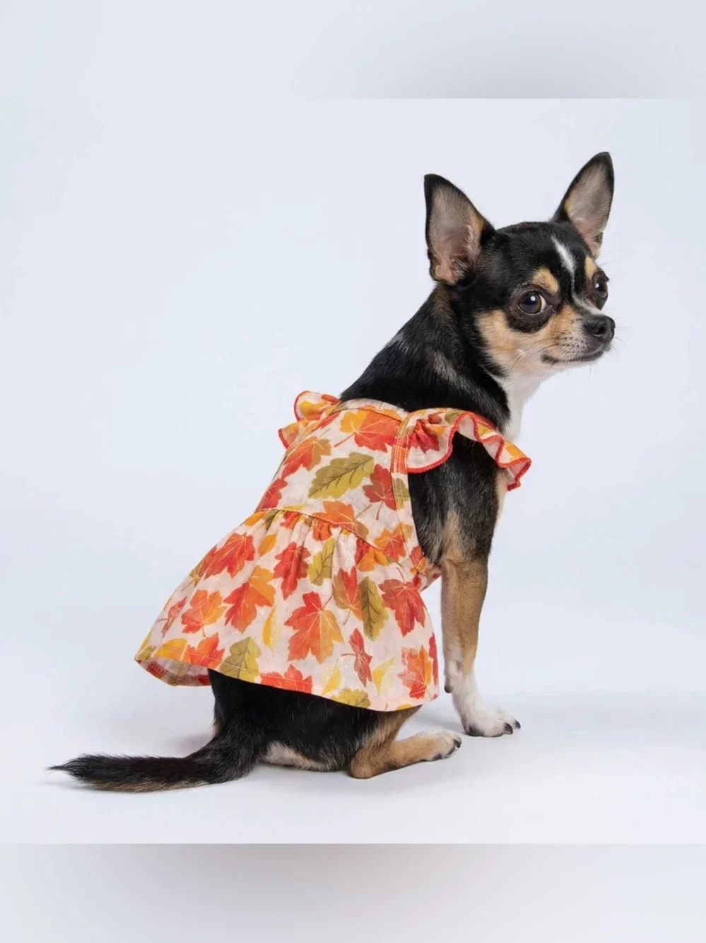 NEW FITWARM MAPLE RUFFLE DOG DRESS
